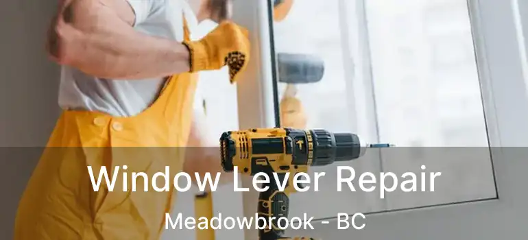  Window Lever Repair Meadowbrook - BC