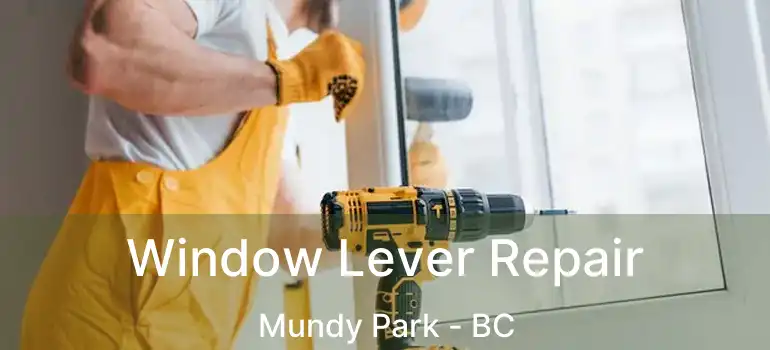  Window Lever Repair Mundy Park - BC