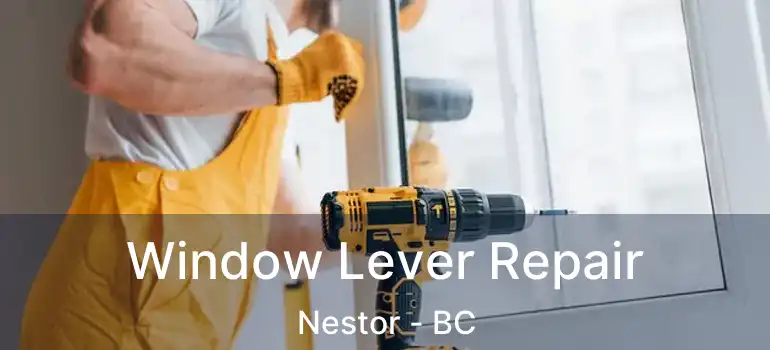  Window Lever Repair Nestor - BC