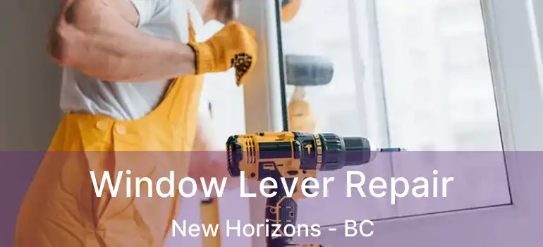  Window Lever Repair New Horizons - BC