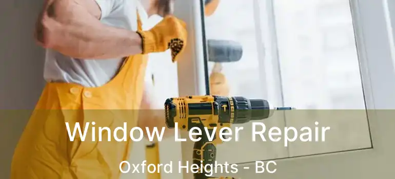  Window Lever Repair Oxford Heights - BC