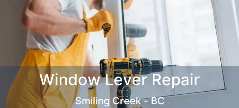  Window Lever Repair Smiling Creek - BC
