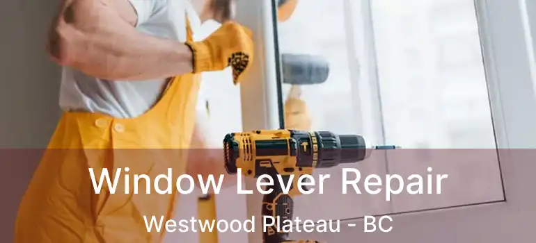  Window Lever Repair Westwood Plateau - BC