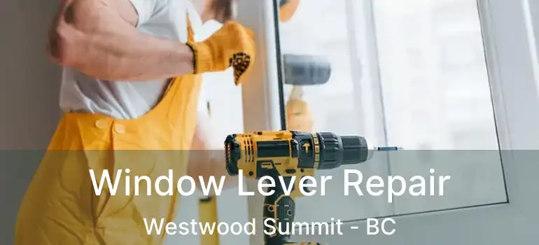  Window Lever Repair Westwood Summit - BC