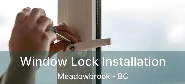  Window Lock Installation Meadowbrook - BC