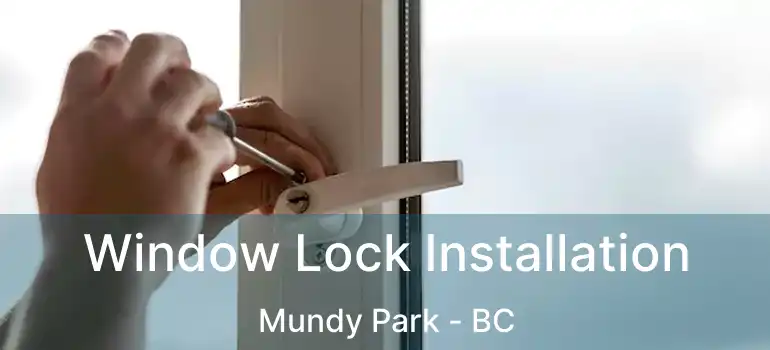  Window Lock Installation Mundy Park - BC