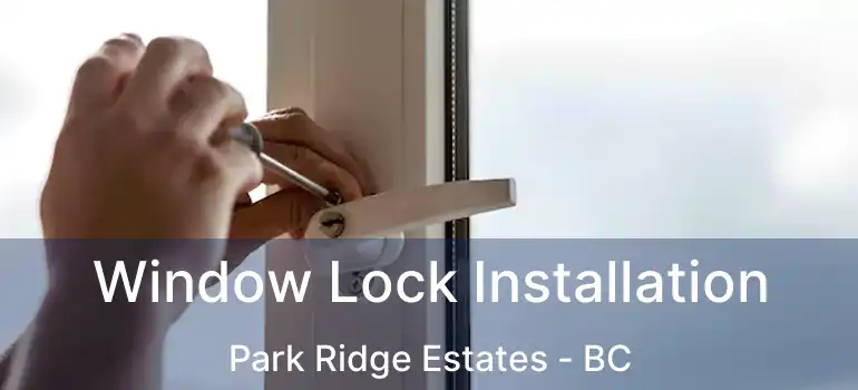  Window Lock Installation Park Ridge Estates - BC