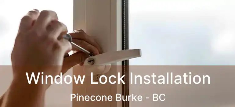  Window Lock Installation Pinecone Burke - BC