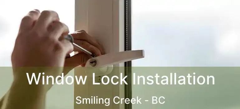  Window Lock Installation Smiling Creek - BC