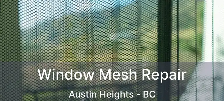  Window Mesh Repair Austin Heights - BC