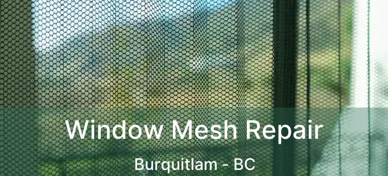  Window Mesh Repair Burquitlam - BC