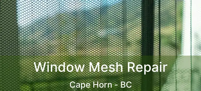  Window Mesh Repair Cape Horn - BC