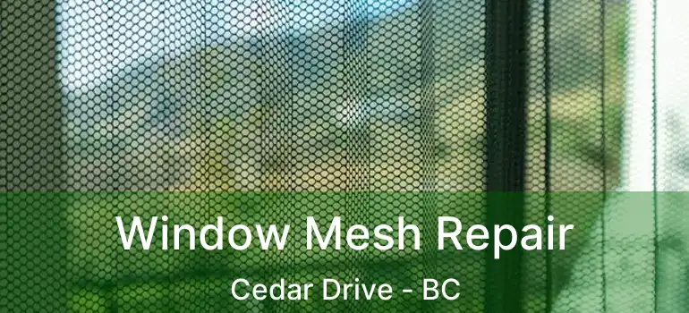  Window Mesh Repair Cedar Drive - BC