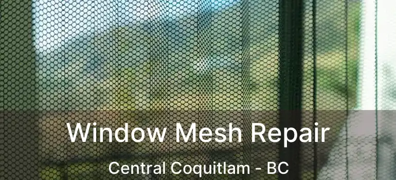  Window Mesh Repair Central Coquitlam - BC