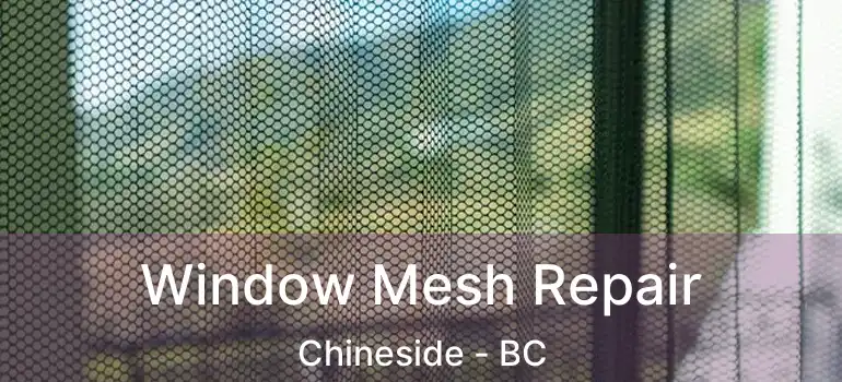  Window Mesh Repair Chineside - BC