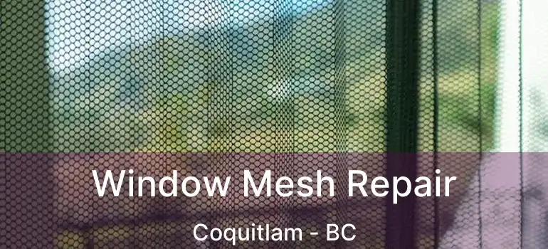  Window Mesh Repair Coquitlam - BC