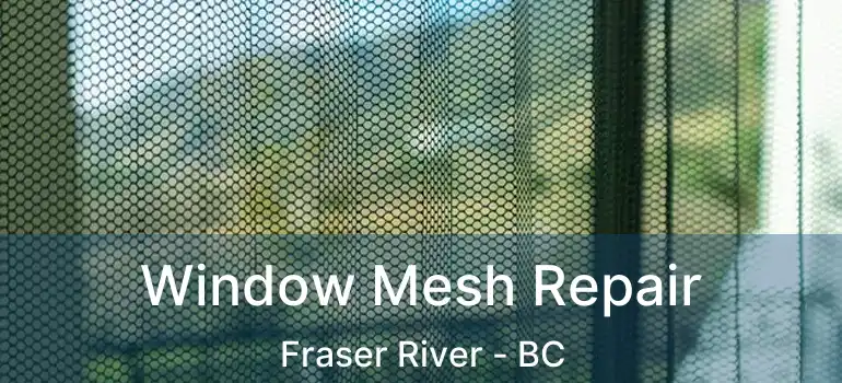  Window Mesh Repair Fraser River - BC