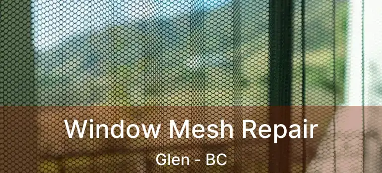  Window Mesh Repair Glen - BC