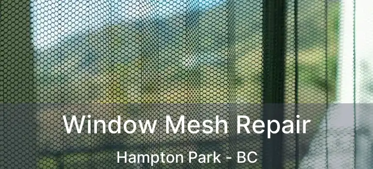  Window Mesh Repair Hampton Park - BC