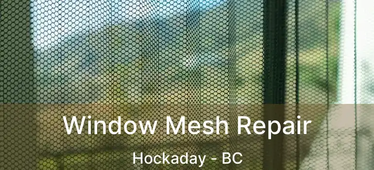  Window Mesh Repair Hockaday - BC
