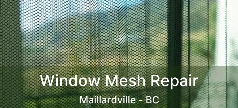  Window Mesh Repair Maillardville - BC