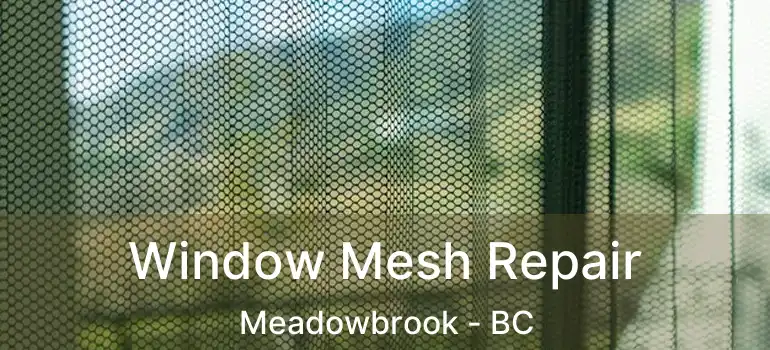  Window Mesh Repair Meadowbrook - BC