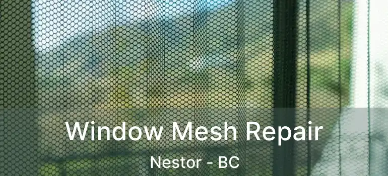  Window Mesh Repair Nestor - BC