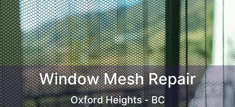  Window Mesh Repair Oxford Heights - BC