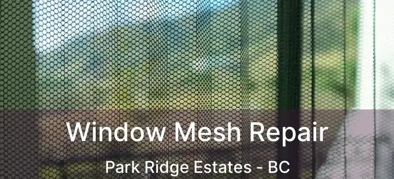  Window Mesh Repair Park Ridge Estates - BC