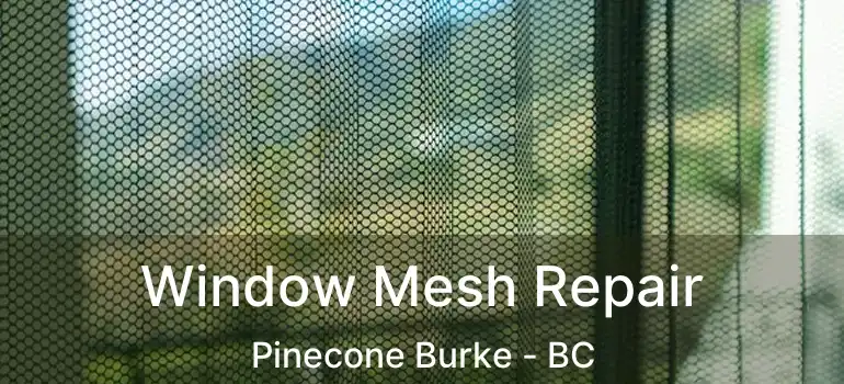  Window Mesh Repair Pinecone Burke - BC