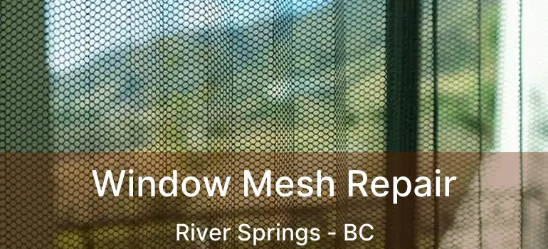  Window Mesh Repair River Springs - BC