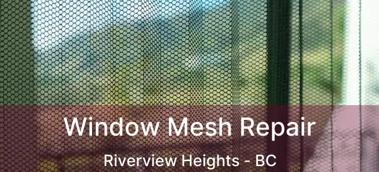  Window Mesh Repair Riverview Heights - BC