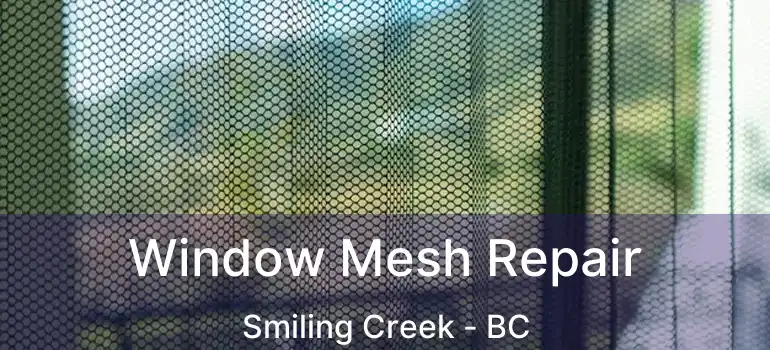  Window Mesh Repair Smiling Creek - BC