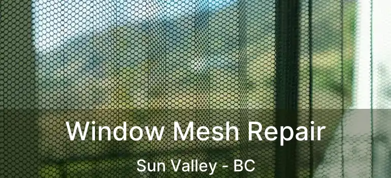  Window Mesh Repair Sun Valley - BC
