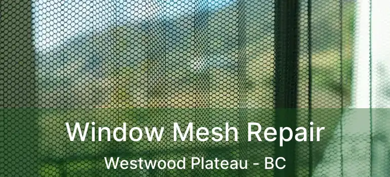  Window Mesh Repair Westwood Plateau - BC