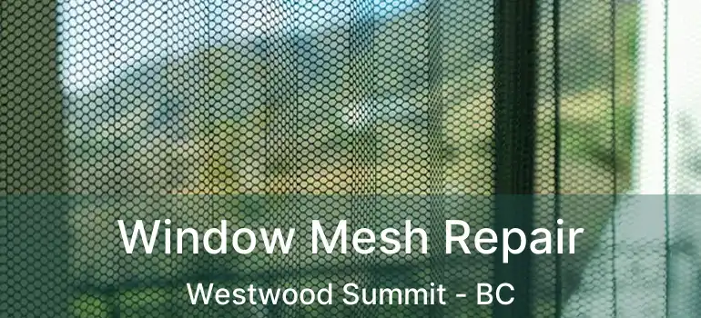  Window Mesh Repair Westwood Summit - BC