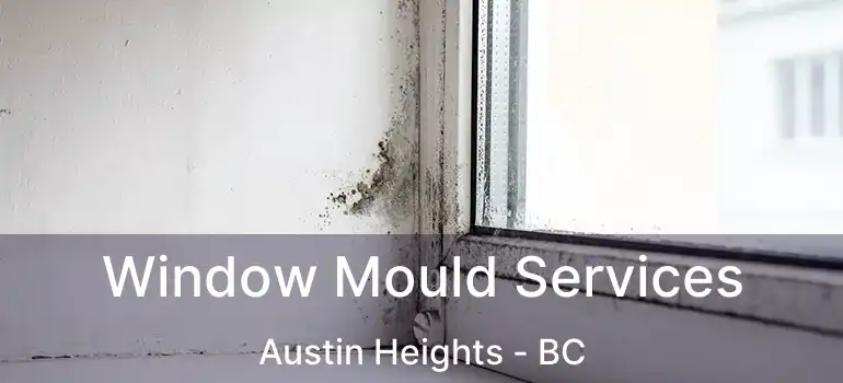  Window Mould Services Austin Heights - BC