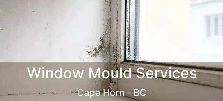  Window Mould Services Cape Horn - BC