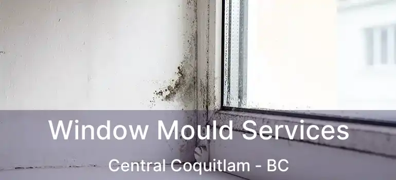  Window Mould Services Central Coquitlam - BC