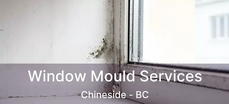  Window Mould Services Chineside - BC