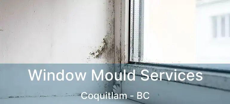  Window Mould Services Coquitlam - BC