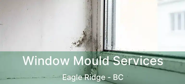  Window Mould Services Eagle Ridge - BC