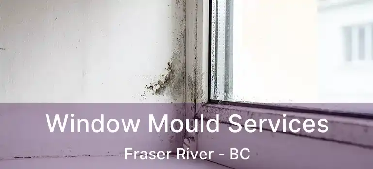  Window Mould Services Fraser River - BC