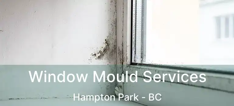  Window Mould Services Hampton Park - BC