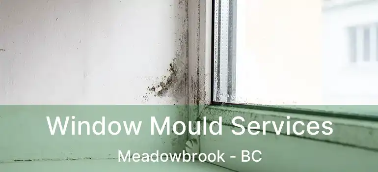  Window Mould Services Meadowbrook - BC