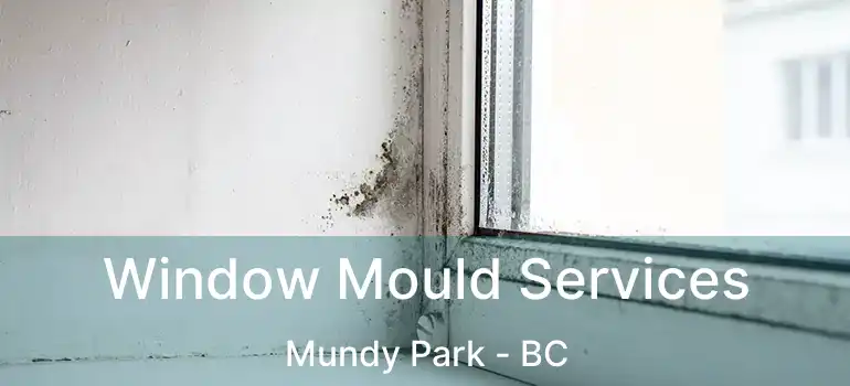  Window Mould Services Mundy Park - BC