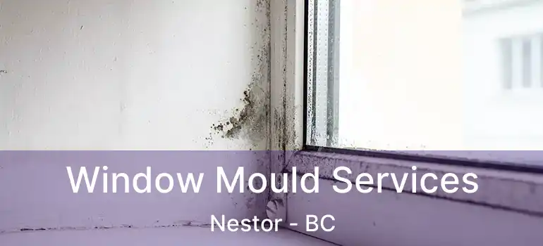  Window Mould Services Nestor - BC