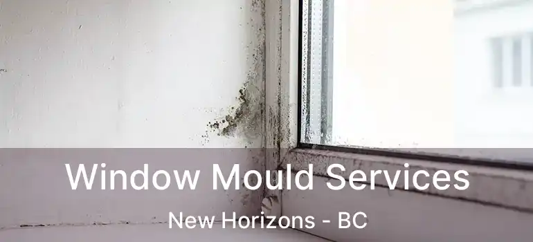  Window Mould Services New Horizons - BC