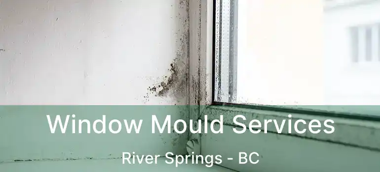  Window Mould Services River Springs - BC