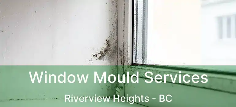  Window Mould Services Riverview Heights - BC